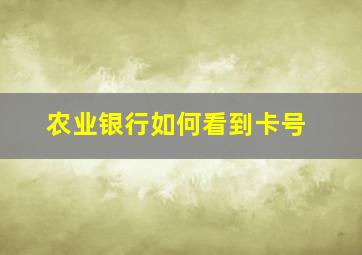 农业银行如何看到卡号