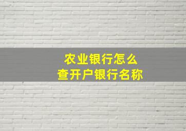 农业银行怎么查开户银行名称