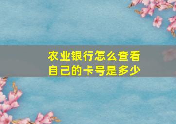 农业银行怎么查看自己的卡号是多少