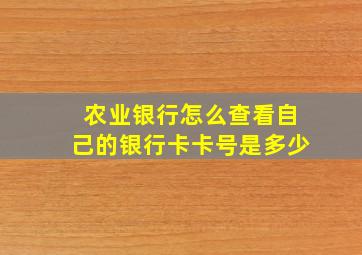 农业银行怎么查看自己的银行卡卡号是多少