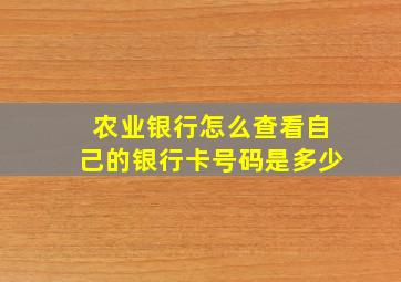 农业银行怎么查看自己的银行卡号码是多少