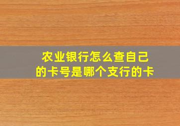 农业银行怎么查自己的卡号是哪个支行的卡