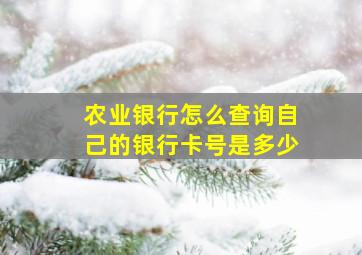 农业银行怎么查询自己的银行卡号是多少