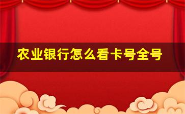 农业银行怎么看卡号全号