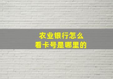 农业银行怎么看卡号是哪里的