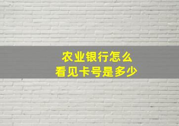 农业银行怎么看见卡号是多少