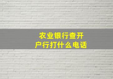 农业银行查开户行打什么电话