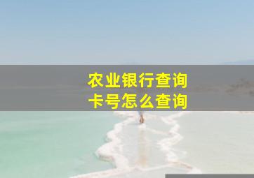 农业银行查询卡号怎么查询