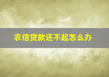 农信贷款还不起怎么办