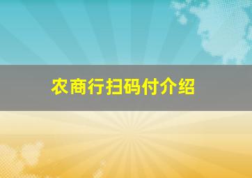 农商行扫码付介绍