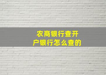 农商银行查开户银行怎么查的