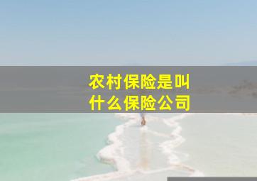 农村保险是叫什么保险公司