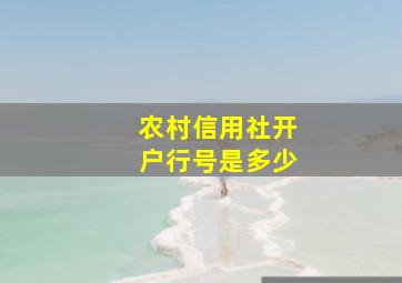 农村信用社开户行号是多少