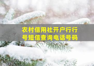 农村信用社开户行行号短信查询电话号码