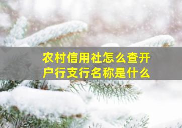 农村信用社怎么查开户行支行名称是什么