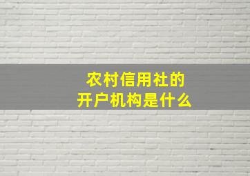 农村信用社的开户机构是什么