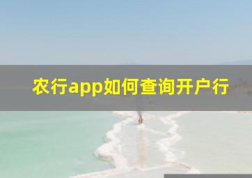 农行app如何查询开户行