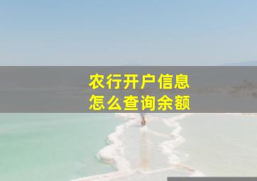 农行开户信息怎么查询余额