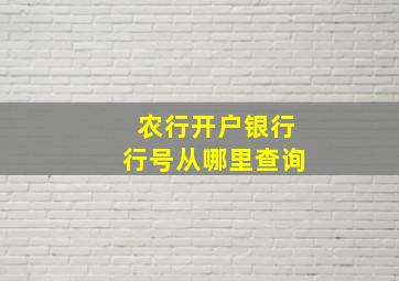 农行开户银行行号从哪里查询