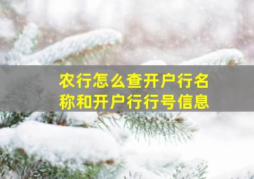 农行怎么查开户行名称和开户行行号信息