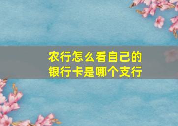 农行怎么看自己的银行卡是哪个支行