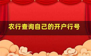 农行查询自己的开户行号