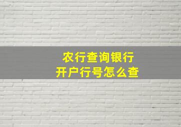 农行查询银行开户行号怎么查