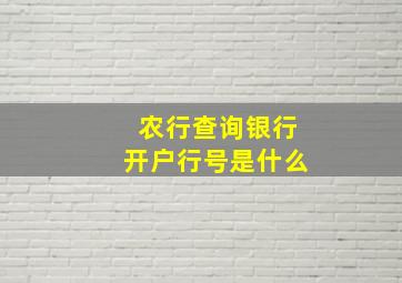 农行查询银行开户行号是什么