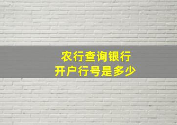 农行查询银行开户行号是多少