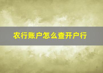 农行账户怎么查开户行