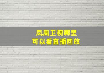 凤凰卫视哪里可以看直播回放