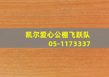 凯尔爱心公棚飞跃队05-1173337