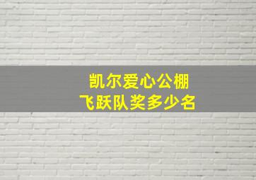 凯尔爱心公棚飞跃队奖多少名