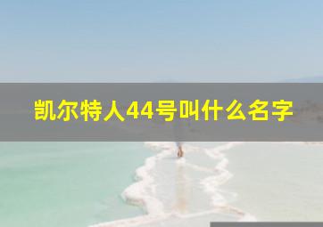 凯尔特人44号叫什么名字