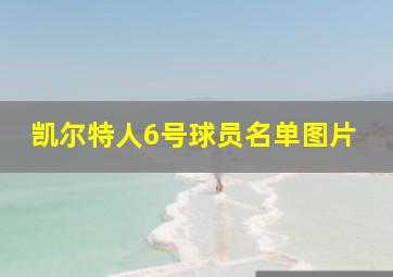 凯尔特人6号球员名单图片