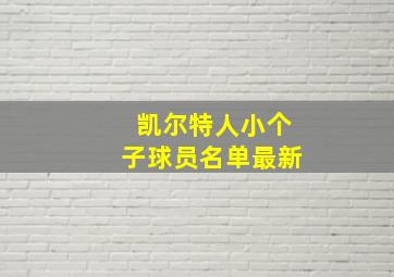 凯尔特人小个子球员名单最新