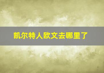 凯尔特人欧文去哪里了