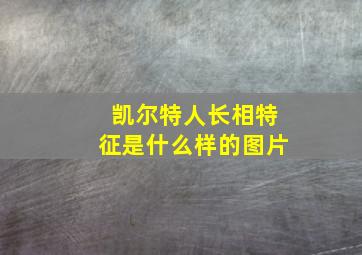 凯尔特人长相特征是什么样的图片