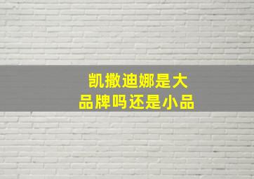 凯撒迪娜是大品牌吗还是小品