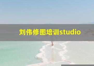 刘伟修图培训studio