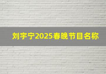 刘宇宁2025春晚节目名称