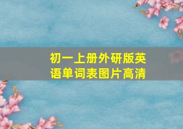 初一上册外研版英语单词表图片高清