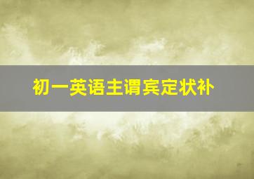 初一英语主谓宾定状补