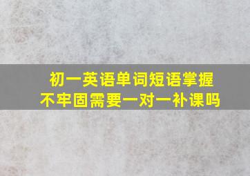 初一英语单词短语掌握不牢固需要一对一补课吗