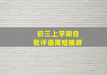 初三上学期自我评语简短精辟