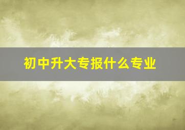 初中升大专报什么专业