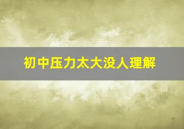 初中压力太大没人理解