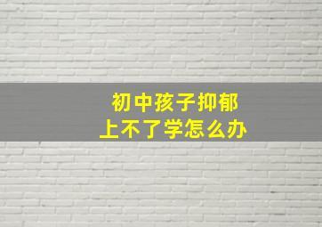 初中孩子抑郁上不了学怎么办