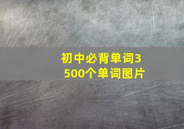 初中必背单词3500个单词图片