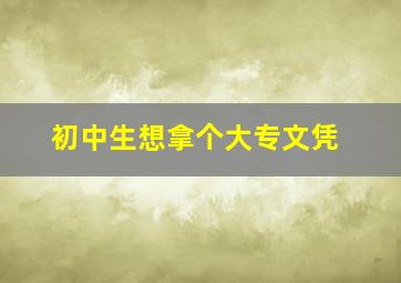 初中生想拿个大专文凭